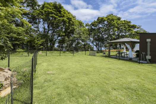 [Pets allowed (only dogs)] glamping dome