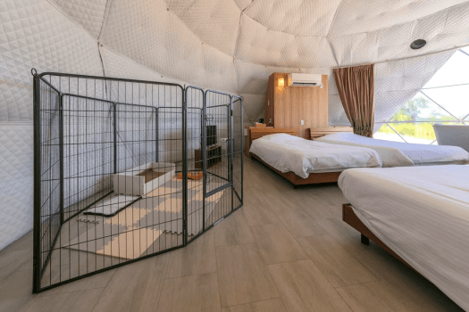 [Pets allowed (only dogs)] glamping dome