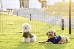 【犬同伴可能】日向ヴィレッジ　グランピングドーム