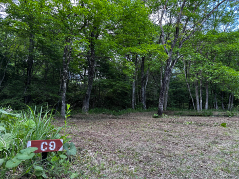 C9