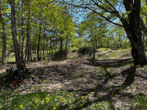 ツーリングサイト１