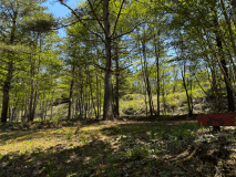 ツーリングサイト2