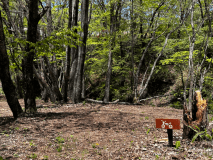 ツーリングサイト３