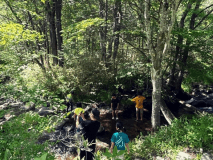 日帰りデイキャンププラン