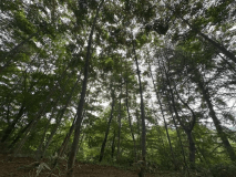 秘密基地エリア