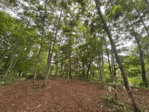 秘密基地エリア