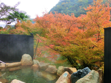秋はご婦人露天風呂からもみじの紅葉が御覧いただけます