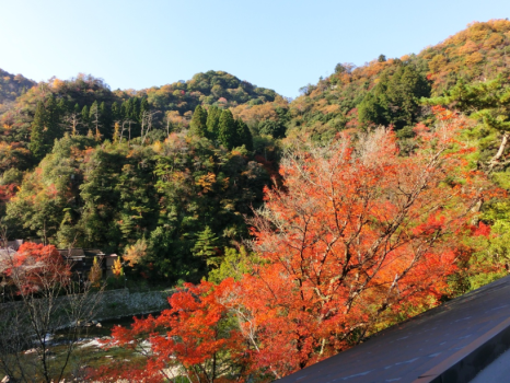 【紅葉】おもとのお部屋二階からの景観
