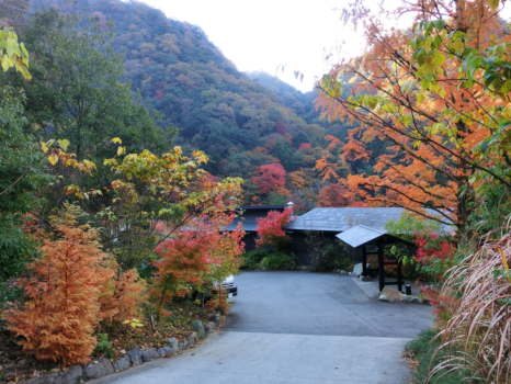 【紅葉】駐車場から正面玄関へ向かって