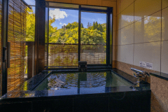 【サンテラス】和洋室　山の景色と渓谷を望むお部屋