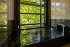 【うたたねＡ（あじさい・いちょう）】　デイベッド付　渓流沿いのお部屋