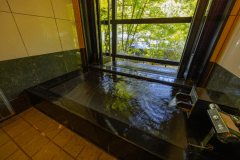 【デイユース　源泉１００％温泉付お部屋タイプは当日おまかせ】