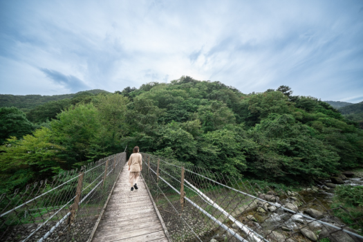 森林浴（吊り橋）