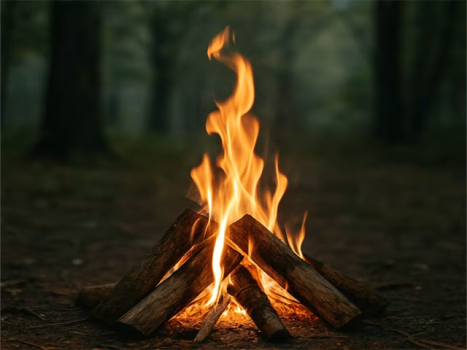 【限定20日間】【紅葉×湯治】冷え・関節痛・神経疲労身をやさしく整える秋養生