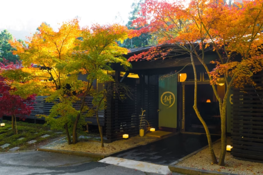 【限定20日間】【紅葉×湯治】冷え・関節痛・神経疲労身をやさしく整える秋養生