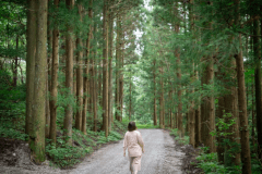 脳疲労を回復させ、ストレスを解消する森林浴療法