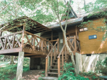 敷地の中で標高の高い所に位置し、静かな森林に囲まれながらリラックスできるコテージ