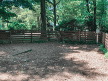 ドッグランキャンプサイト（No.25）