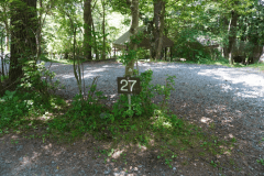 木々に囲まれた林間サイトで森林浴を楽しめます。