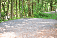 木々に囲まれた林間サイトで森林浴を楽しめます。