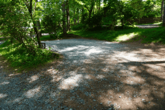 木々に囲まれた林間サイトで森林浴を楽しめます。