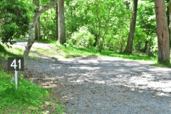 木々に囲まれた林間サイトで森林浴を楽しめます。