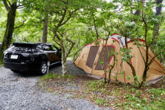 車1台と２ルームテント1張は可能ですが、スペースに余裕はありません。