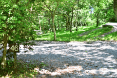 木々に囲まれた林間サイトで森林浴を楽しめます。