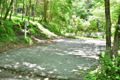 木々に囲まれた林間サイトで森林浴を楽しめます。