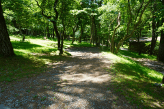 木々に囲まれた林間サイトで森林浴を楽しめます。