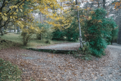 森林オートキャンプサイト AC電源あり（No.48）