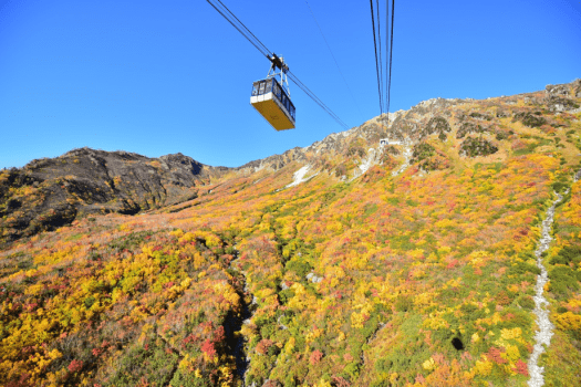 紅葉と立山ロープウェイ
