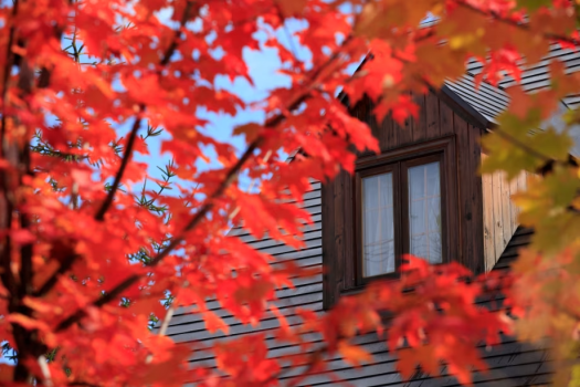 ★★　アウトドアライフを満喫！　『ゆったり連泊♪ログランピング！！』　★★