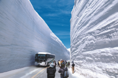 【立山黒部アルペンルート観光におすすめ】長野側→富山側へお車お届け！宿泊＋回送料金から5000円OFF♪