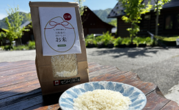 【先着20組限定】地元産のおいしい新米３合プレゼントつき宿泊プラン