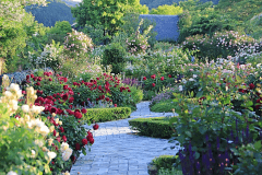 【ローザンベリー多和田入園券＆送迎付】グランピング後は英国式庭園体験型パーク