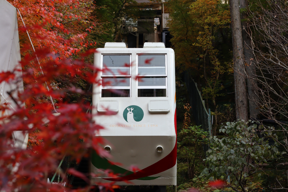 ケーブルカーで始まる旅☆駐車場から建物まで、紅葉の中をくぐり抜けるようにお送りいたします！