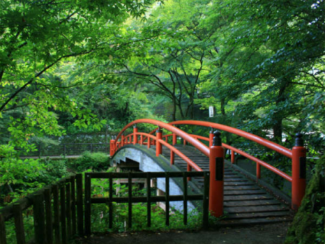 河鹿橋(かじかばし)　新緑ライトアップ5/13(火)～6/15(日)　かのうやより徒歩５分