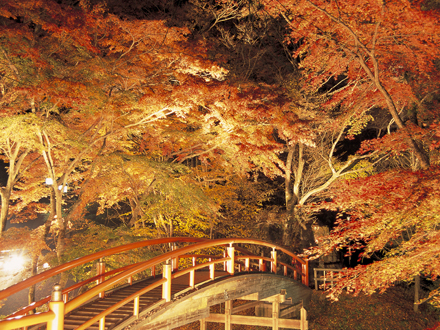 河鹿橋