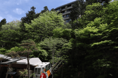 新緑時期のケーブルカーと外観