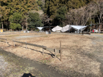 オートサイト手前