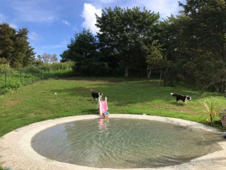 わんこの水遊び場