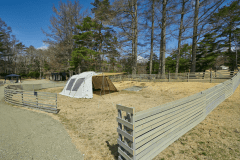 オートドッグランサイトM（Bサイト）