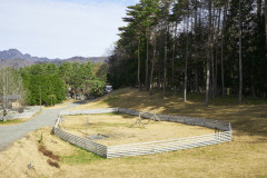 A1（プレミアムリゾートドッグランサイト）