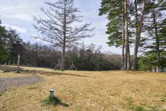 A3（プレミアムリゾートドッグランサイト）