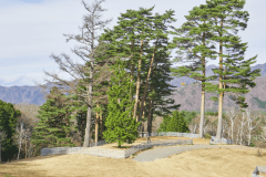 A3（プレミアムリゾートドッグランサイト）