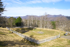 A4（プレミアムリゾートドッグランサイト）