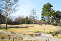 A5（プレミアムリゾートドッグランサイトL）