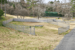 B3（オートドッグランサイトS）