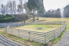 B6（オートドッグランサイトS）